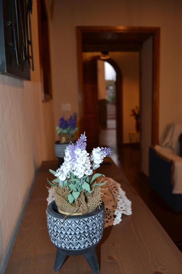 ホテル Casa Alamo Agaete アガエテ エクステリア 写真