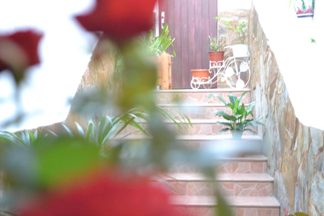 ホテル Casa Alamo Agaete アガエテ エクステリア 写真